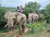 Candice McCarthy - riding an elephant just outside Addo in the Eastern Cape